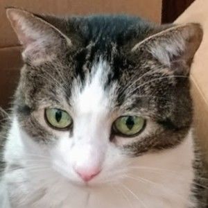 Meet your Posher, Kimberley